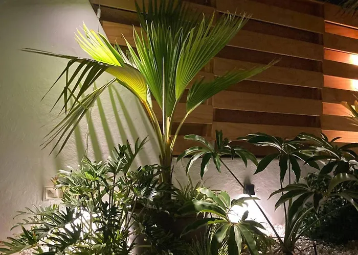 Stylish With Sea View In Maspalomas פלאייה דל אינגלז