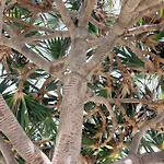 펜션 Stylish With Sea View In Maspalomas 플라야 델 잉글스